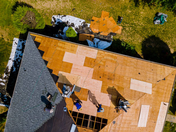 Professional Roofing Contractor in Mena, AR