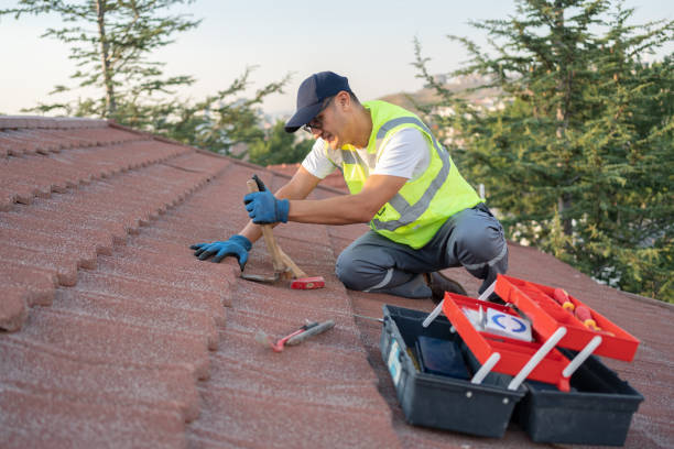 Best Metal Roofing Contractor  in Mena, AR