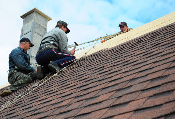 Best Commercial Roofing Services  in Mena, AR